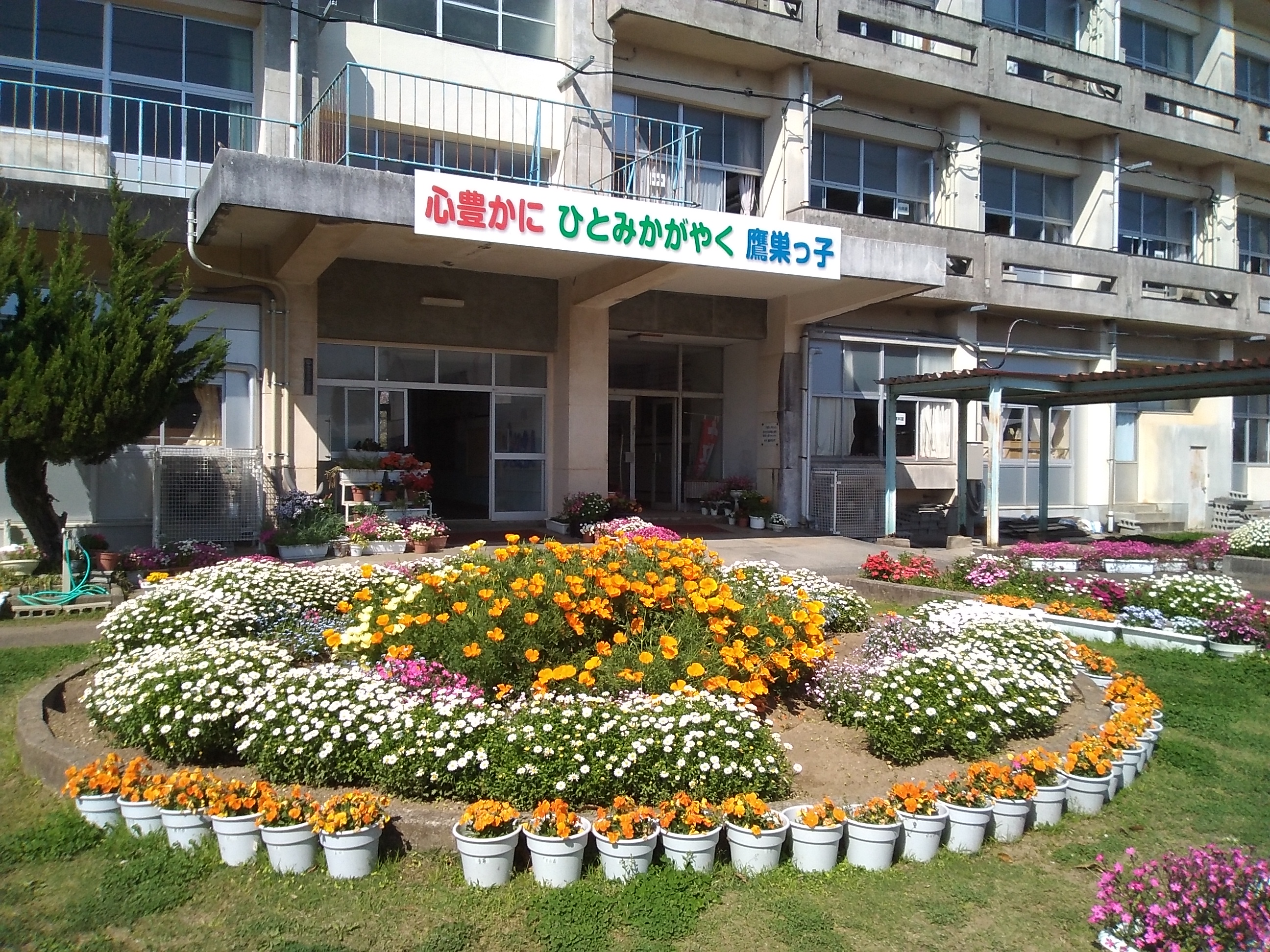 鷹巣小学校 校舎全景